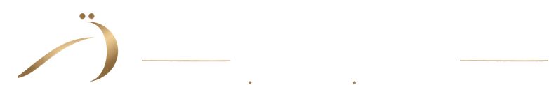 ADEM ÖRNEK – AI SOLUTIONS